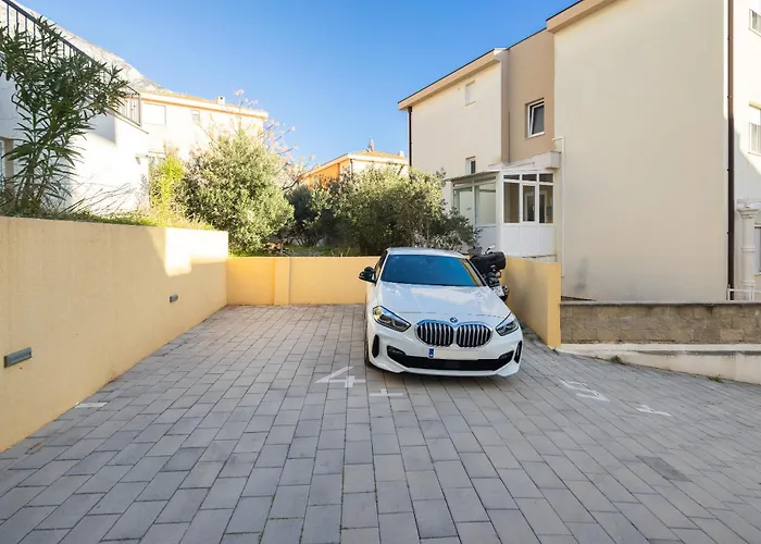 Dalmatian Olive Makarska